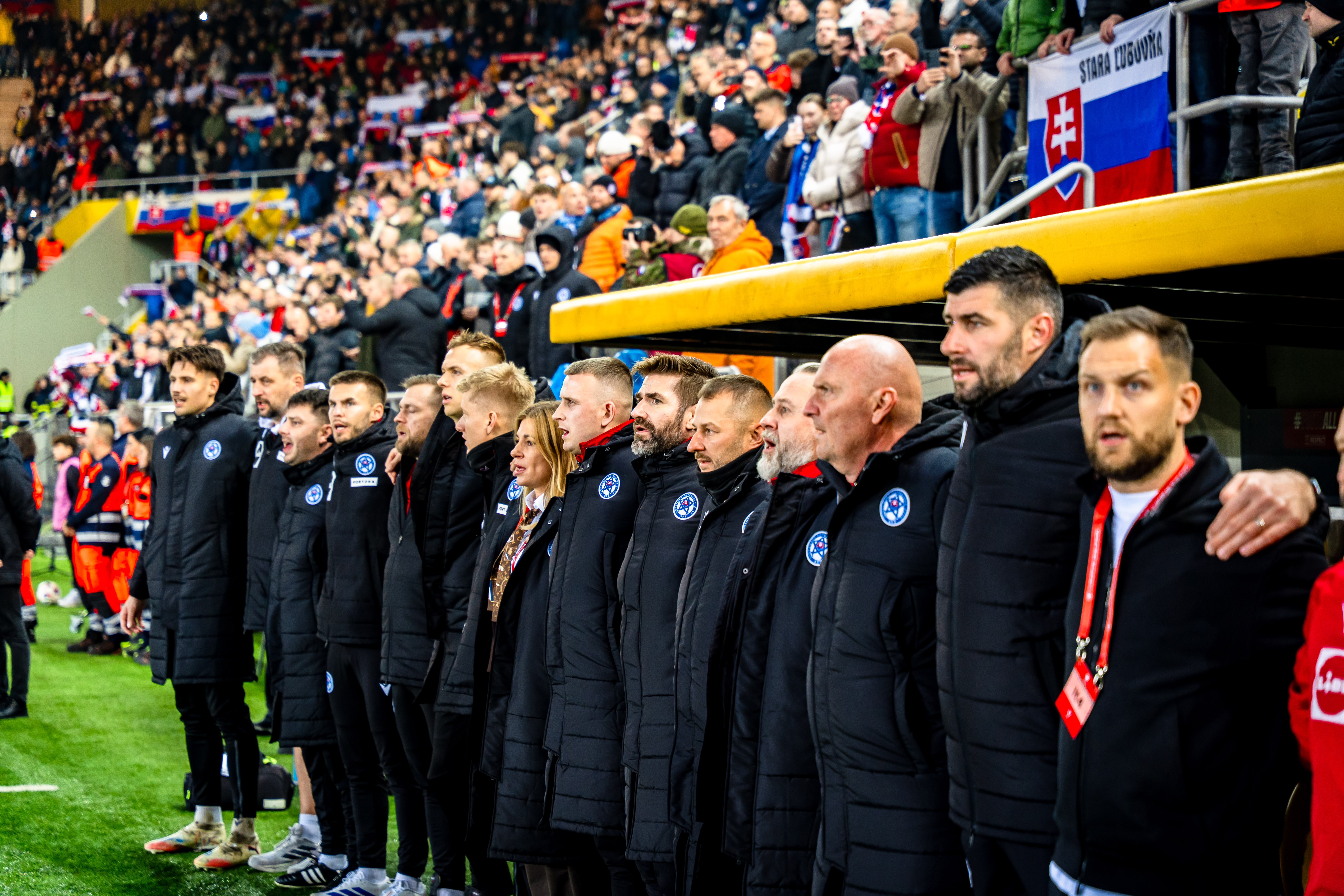 Slovensko vs Severne Irsko-9